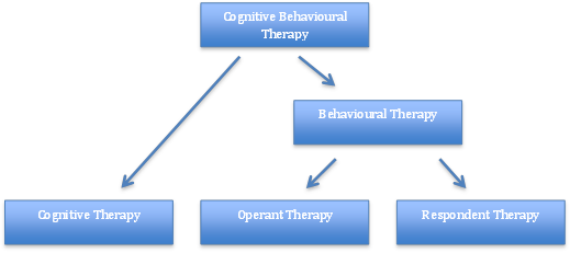 Fig.2 - Breakdown of CBT theory