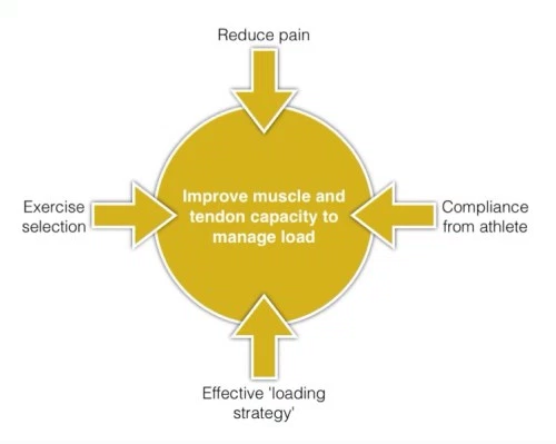 Management of tendinopathy.png