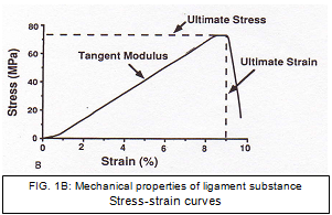 Stress-stain curves.PNG