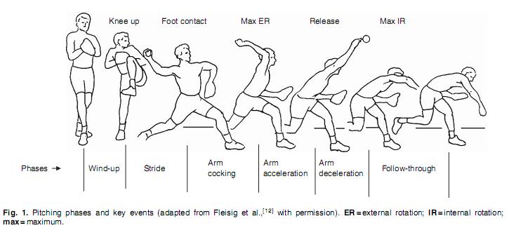 File:Phases of throwing.JPG