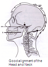 File:Good-alignment-of-neck.png
