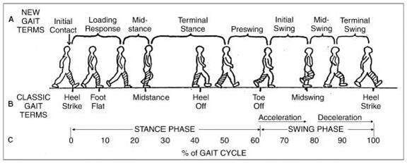 The proper components of a thorough gait analysis