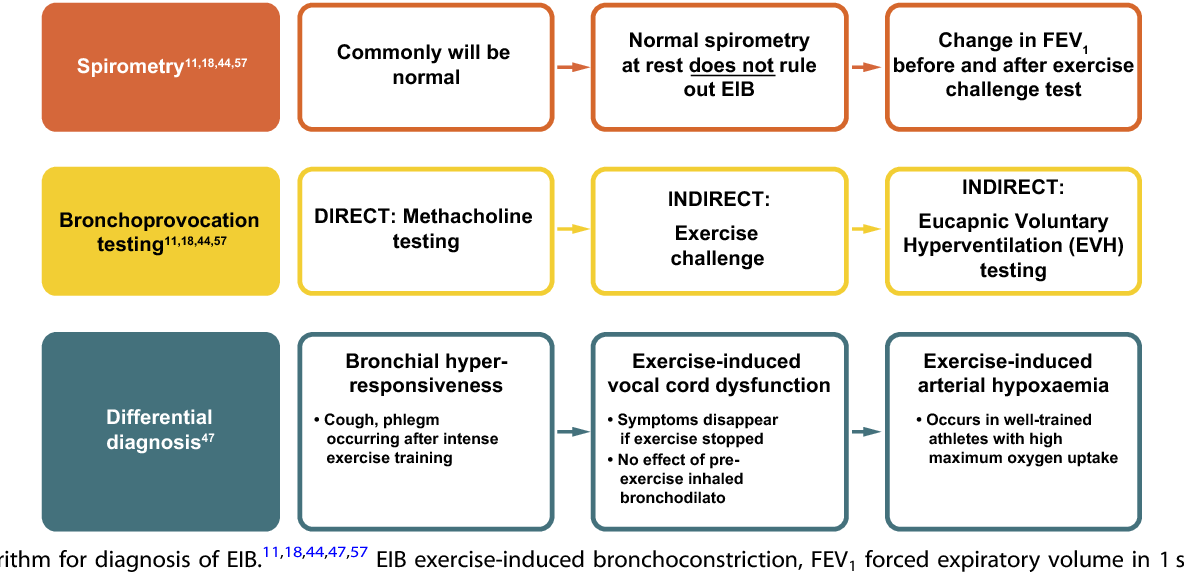 Exercise induced bronchoconstriction.png