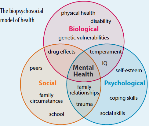 File:Biopsychosocial-model-of-health.PNG