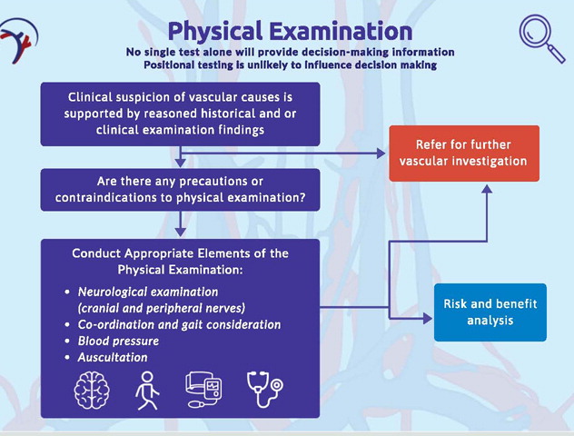 File:International Framework for Examination of the Cervical Region for Potential of Vascular Pathologies of the Neck Prior to Musculoskeletal Intervention International IFOMPT Cervical Framework Fig 5.jpeg