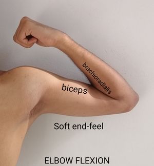 Elbow flextion end-feel.jpg