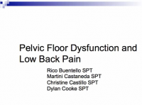 Pelvic floor dysfunction and LBP ppt.PNG