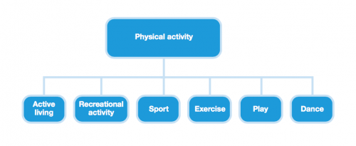 Various Types of Physical Activity (WHO 2016)