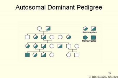 In Autosomal Dominance the chance of receiving and expressing a particular gene is 50% regardless of the sex of parent or child.