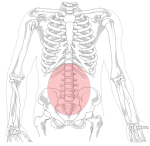 Chronic Low Back Pain - Physiopedia