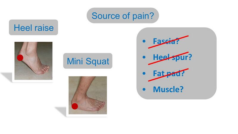 File:Sources of heel pain with clinical tests.jpg