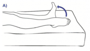 Plantar flexion and dorsiflexion of the feet.png