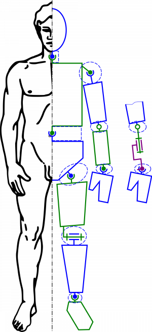 Kinetic chain links.png