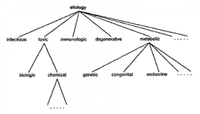 Etiology of CP.png