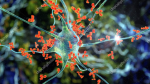 Stock-photo-Antibodies-attacking-neurons-license-free.png