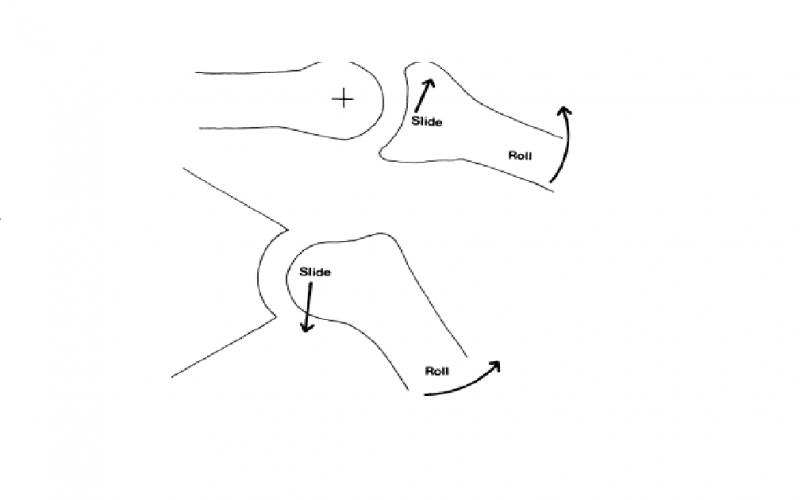 File:Concaveconvexdrawing.png