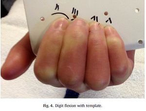 Finger flexion.jpg
