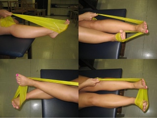 320px-Theraband_Ankle_Composite.jpg