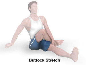 Gluteal Stretch.png