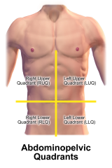 Abdominal Quadrants - Abdominopelvic Quadrants. This image was donated by Blausen Medical. Please visit our website to see more medical illustrations and animations.