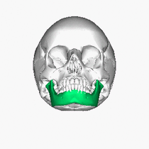 https://commons.wikimedia.org/wiki/File:Mandible_inferior_animation.gif