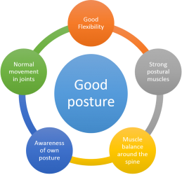 Components of Good Posture (Adapted from the Mayfield Clinic (2016))