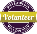 yellow belt badge