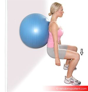 modified squats with swiss ball