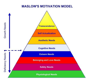 Expanded Maslow's Needs.webp