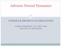 Adverse neural dynamics upper ex exam presentation title.png