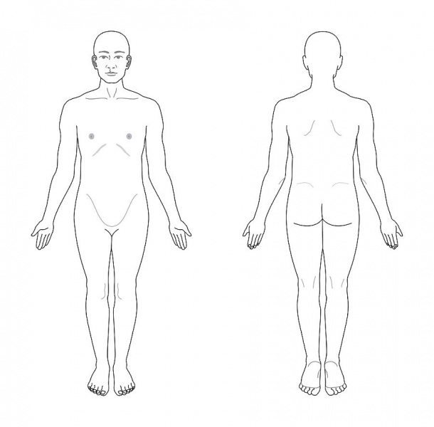 File:Anatomical-position.jpg