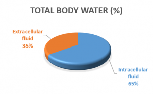 Total Body Water Percentage (Adapted from Benelam and Yness (2010))