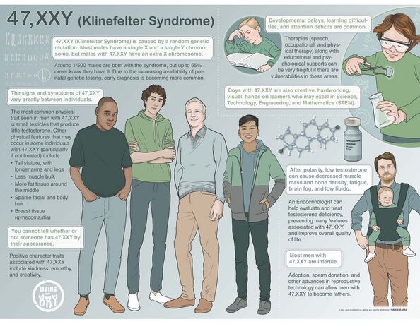 Klinefelter Syndrome Image.jpg