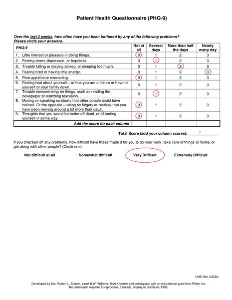 File:The Patient Health Questionnaire (PHQ-9) .jpg
