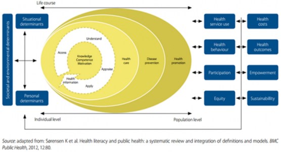 Group 3 Conceptual model of health literacy.PNG