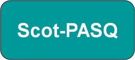 Scot-PASQ.jpg