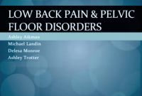 LBP and pelvic floor disorders ppt.PNG