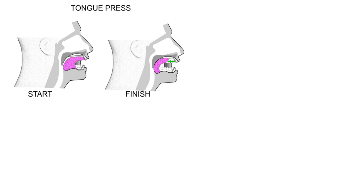 Tongue Press.png