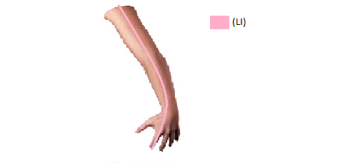 File:Lateral arm1.png