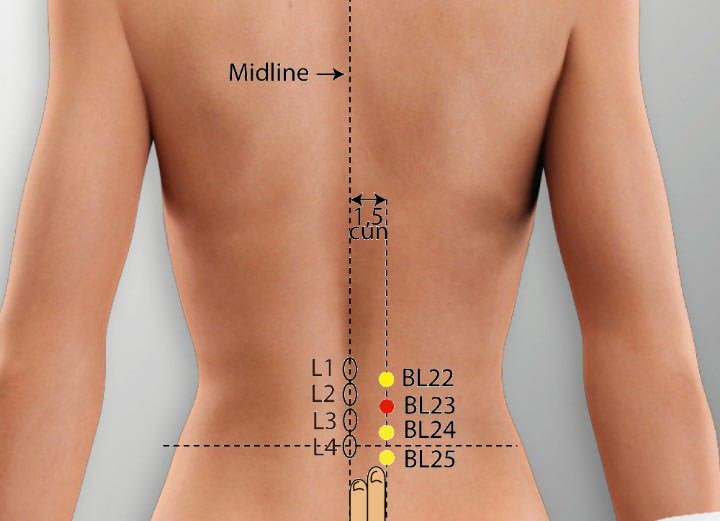 File:BL-23 acupressure point where cupping is placed in post partum women.jpg