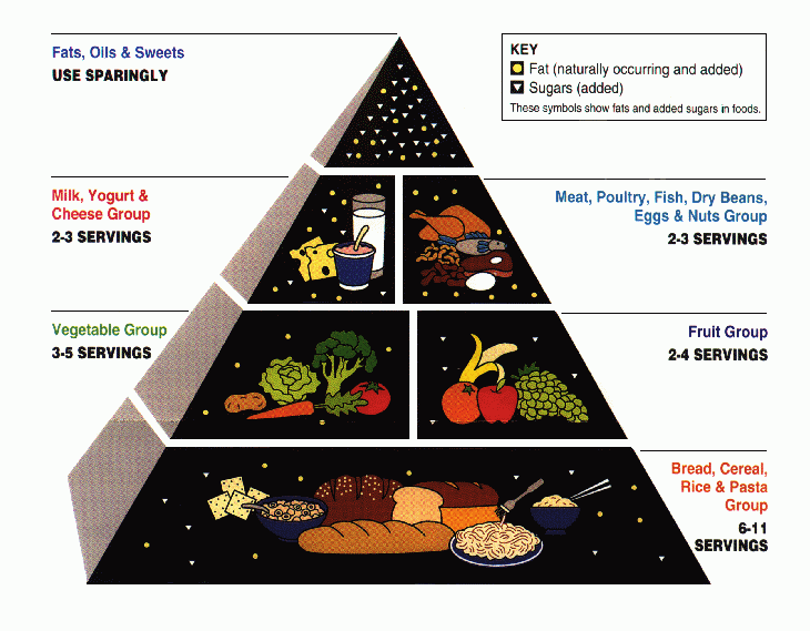 File:Food Pyramid.gif