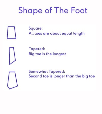 File:Foot Shape.jpg