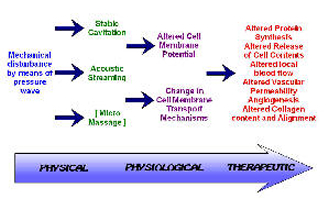 Therapeutic Ultrasound Parameters Chart