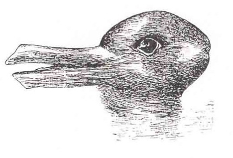 File:Open Source Imgae - Duck Rabbit Illusion.jpg