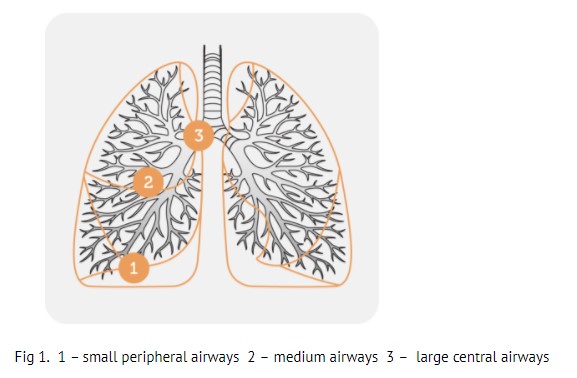 8 Chronic Obstructive Pulmonary Disease (COPD) Nursing Care Plans -  Nurseslabs