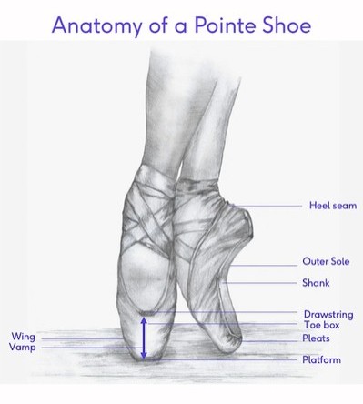 File:Anatomy of a Pointe Shoe2.jpg
