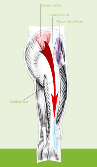 Lateral Sling 12.png