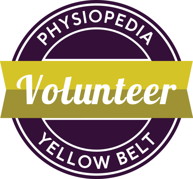 File:Yellow belt badge Image.png