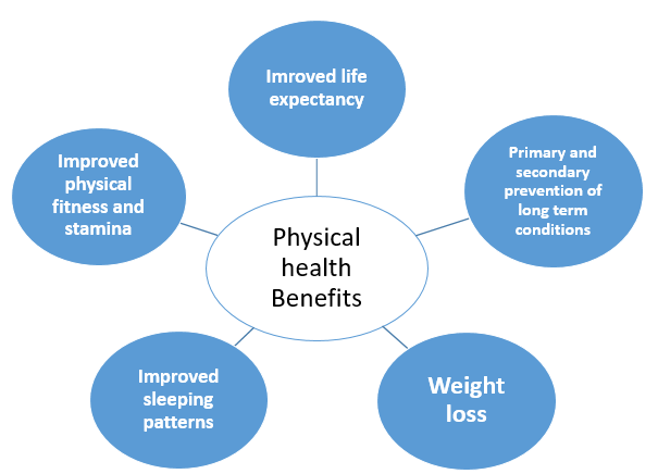 File:Physical health benefits of PA.png