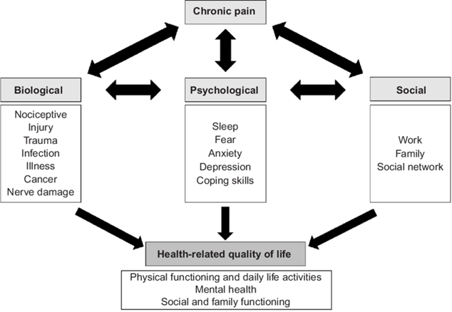 File:BPS Model of pain.png